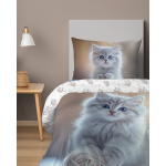 Pościel Kotek 140x200 cm 100% Bawełna 5573A